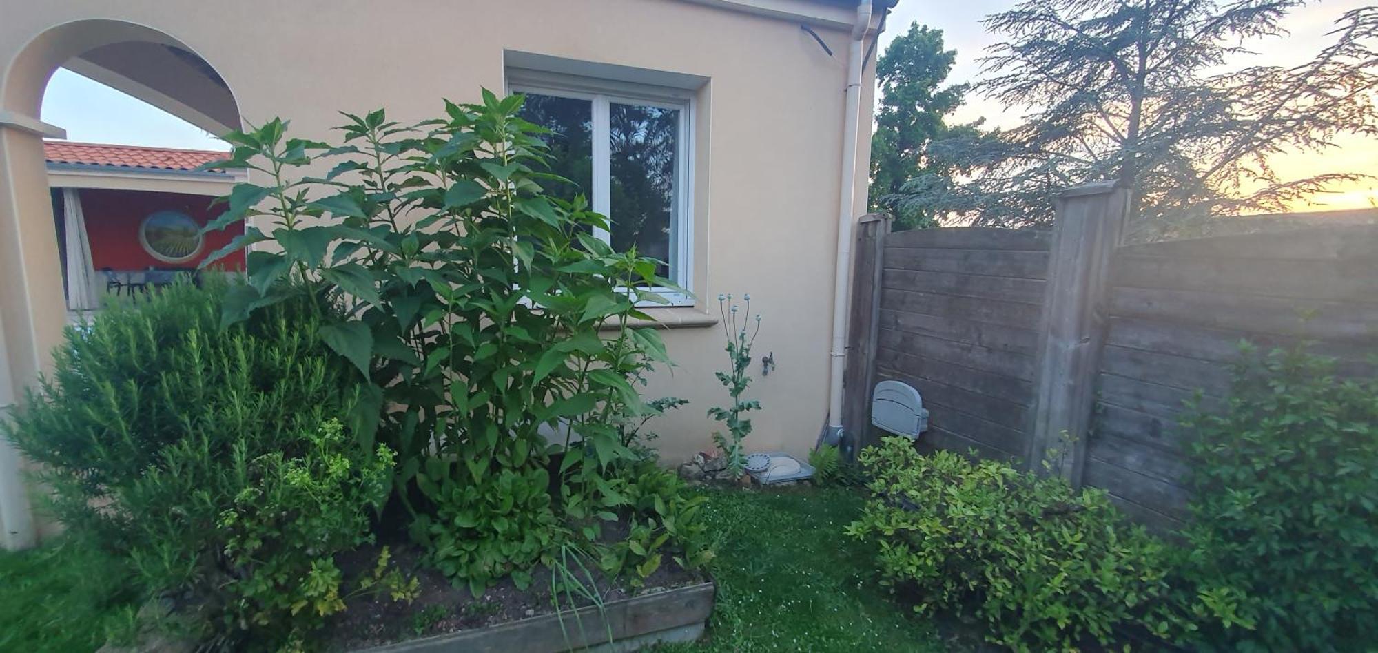 Gite Calme #2 Ou 3 Pers #Piscine #Cholet #Wifi Haut Debit #Travailleurs Thales Lacroix Et Autres Entreprises #Petits Dejeuners Et Repas Possibles Sur Demande Le May-sur-Evre エクステリア 写真